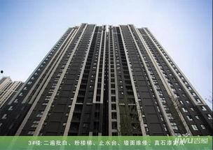 永威城最新爆料  第2张